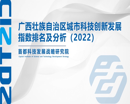 95日逼逼【成果发布】广西壮族自治区城市科技创新发展指数排名及分析（2022）